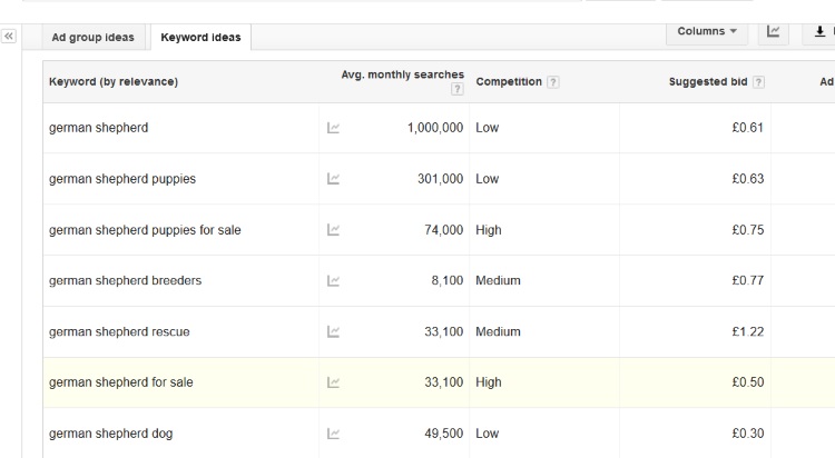 website keyword research using google